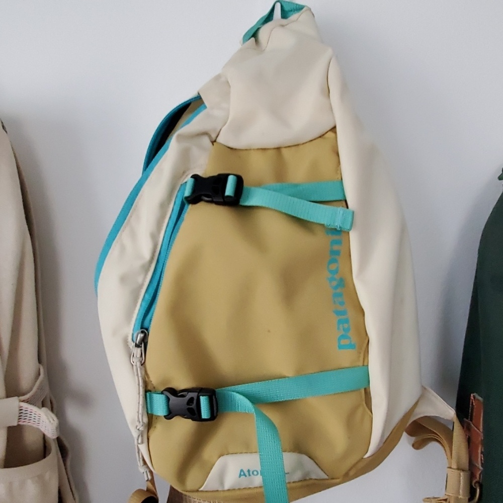Patagonia Atom 8L Backpack